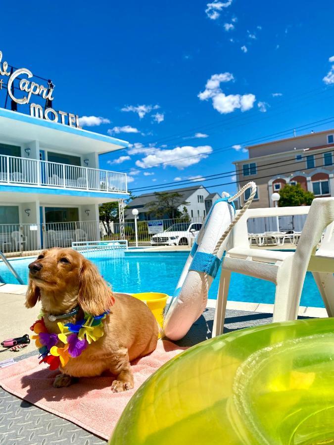 Isle Of Capri Motel North Wildwood Esterno foto